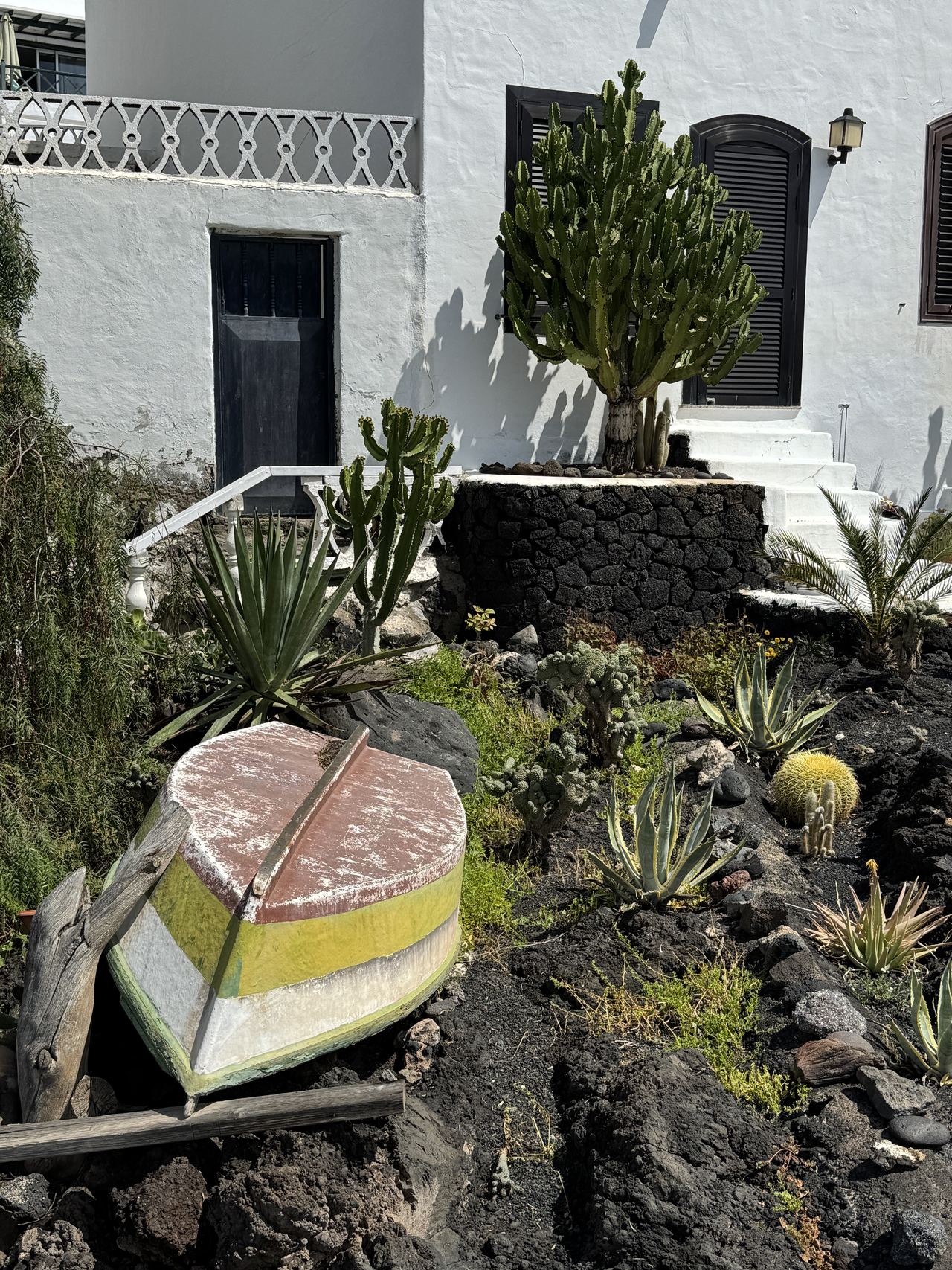 Barca antigua en un jardín de cactus