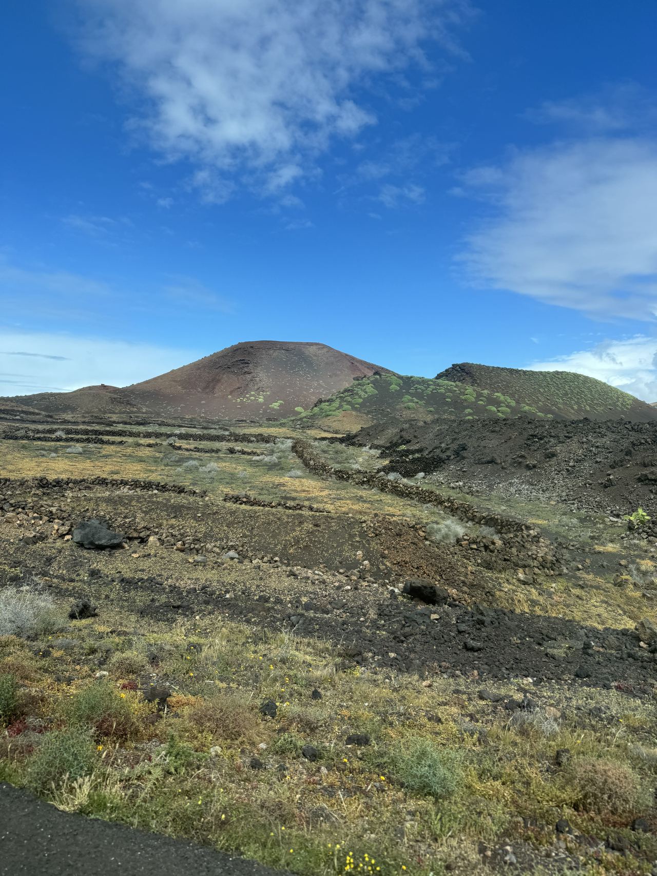 Cono volcánico y campos de lava con muros de piedra