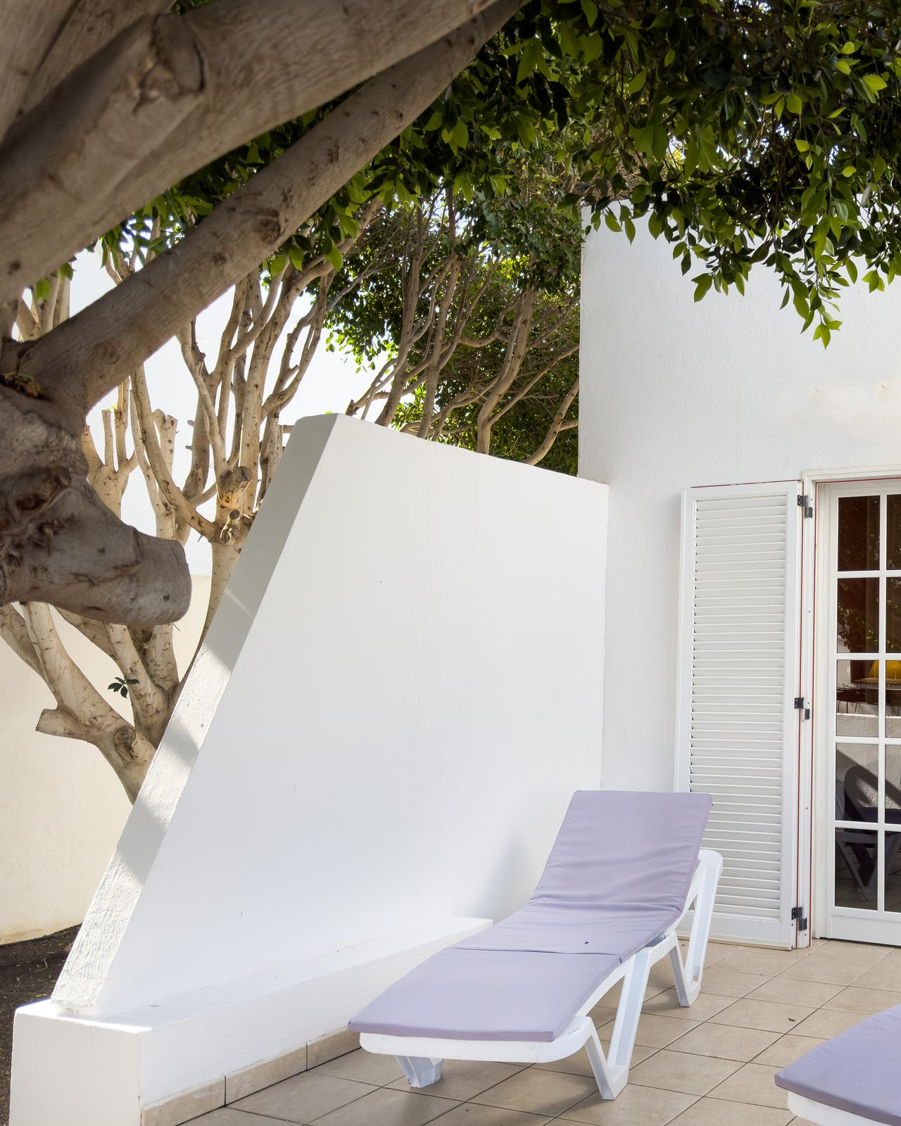 Sun loungers in the shade of the old tree, outside the terrace doors